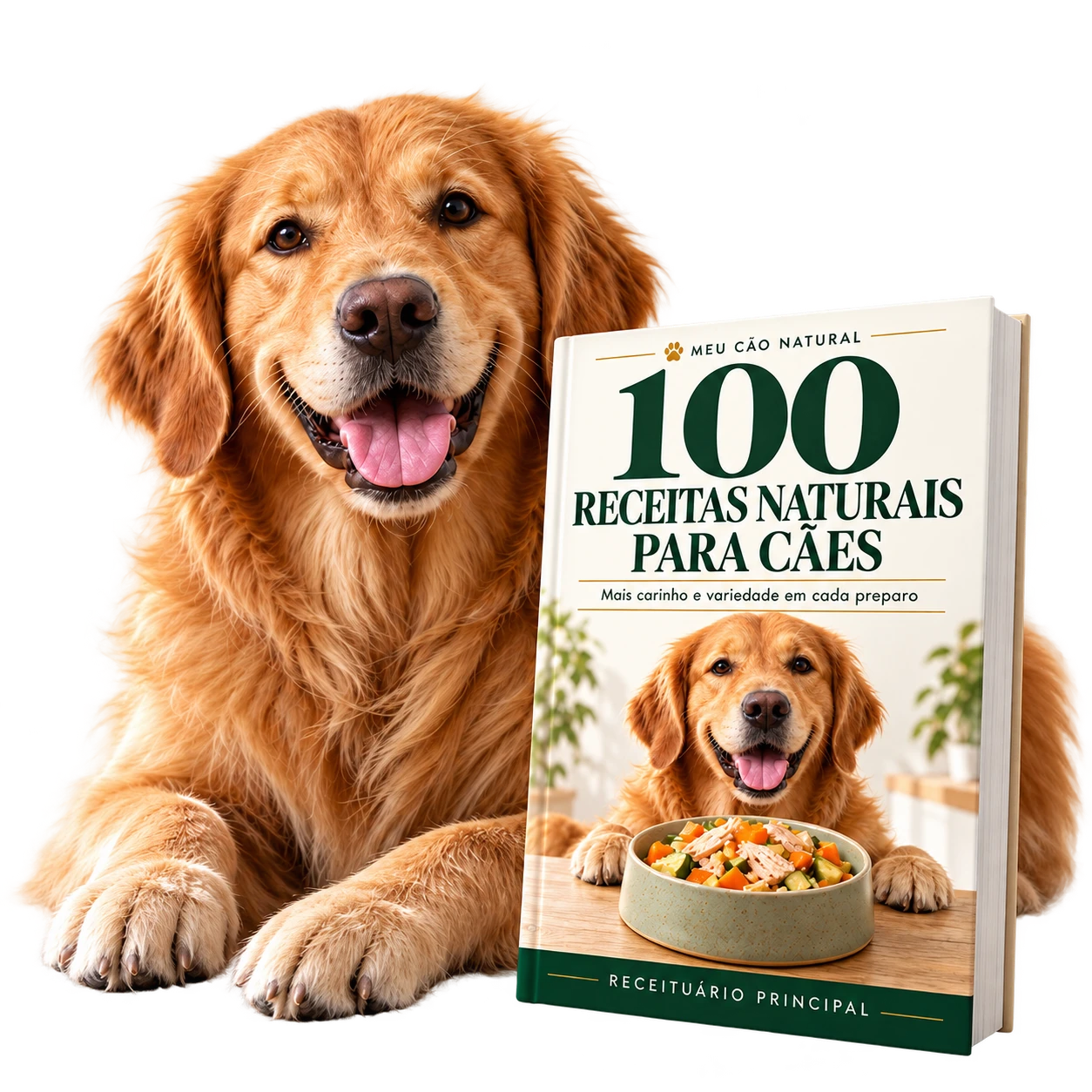 Golden retriever e livro Meu Cão Natural